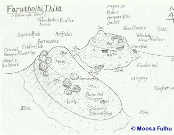 Farutholhi Thila